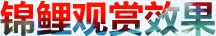 赤坂
